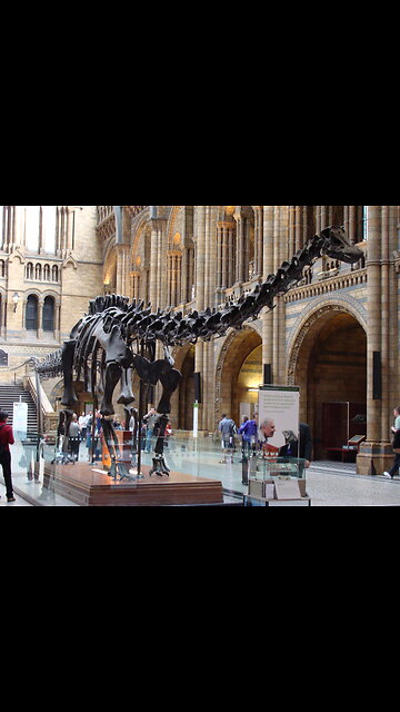 Natural History Museum of Londono