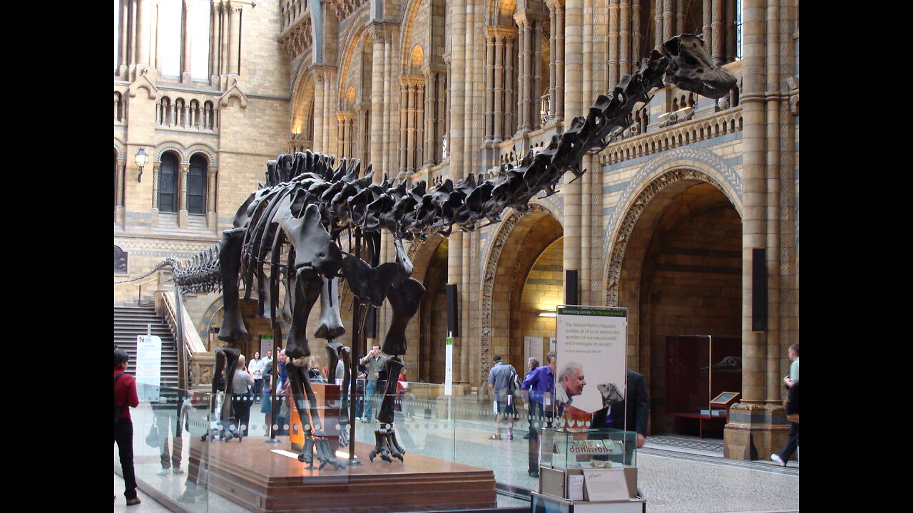 Natural History Museum of Londono