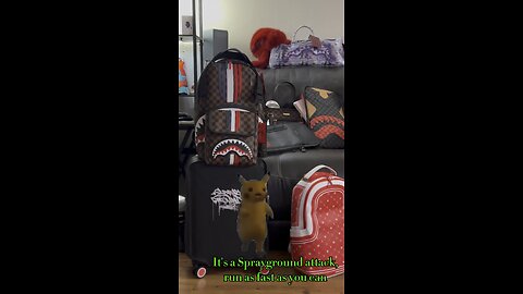 Sprayground Chase
