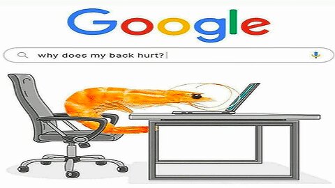 Tired of Back Pain? How to Sit Right at Your Desk