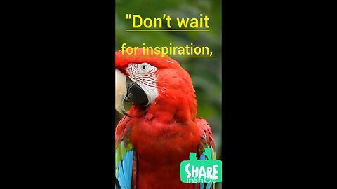 Create Your Own Inspiration