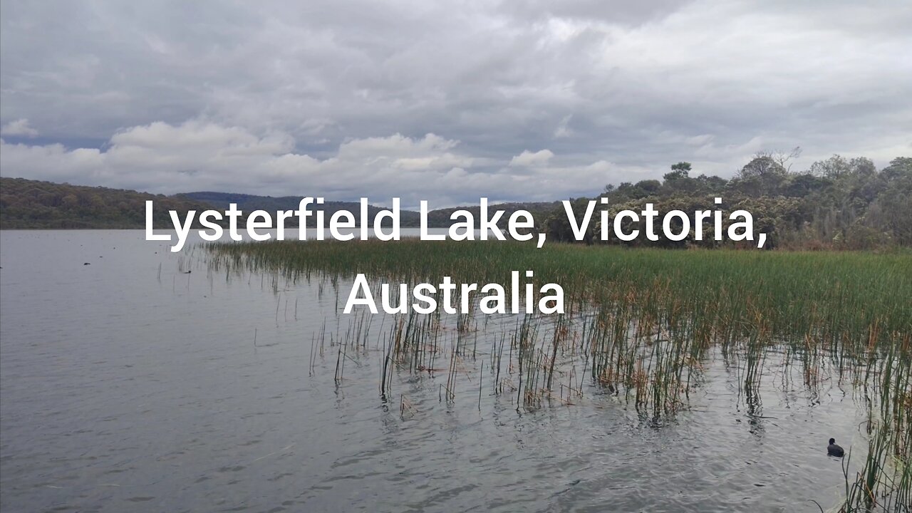 Dad and I Check Out Lysterfield Lake, Victoria, Australia