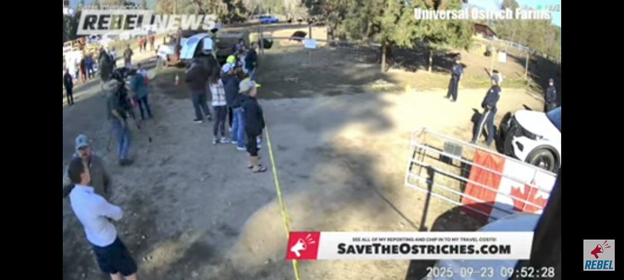 OSTRICH FARM SEIZED DAY 2