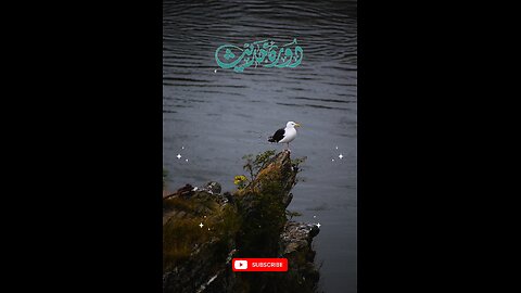 Hadees e nabvi (saw) #islam #viralvideos #islamicreminders #prophetmuhammadsaw #hadeesenabvi