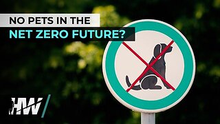 NO PETS IN THE NET ZERO FUTURE?