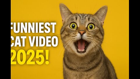 "Hilarious Cats 2025 – The Funniest Cat Moments You Must See!"