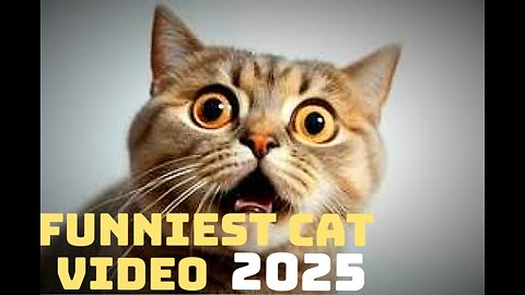 "Hilarious Cats 2025 – The Funniest Cat Moments You Must See!"