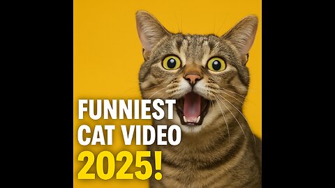 "Hilarious Cats 2025 – The Funniest Cat Moments You Must See!"