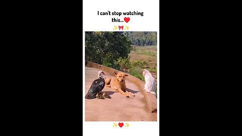 I can't stop watching it.. can u? ✨🥺❤😂