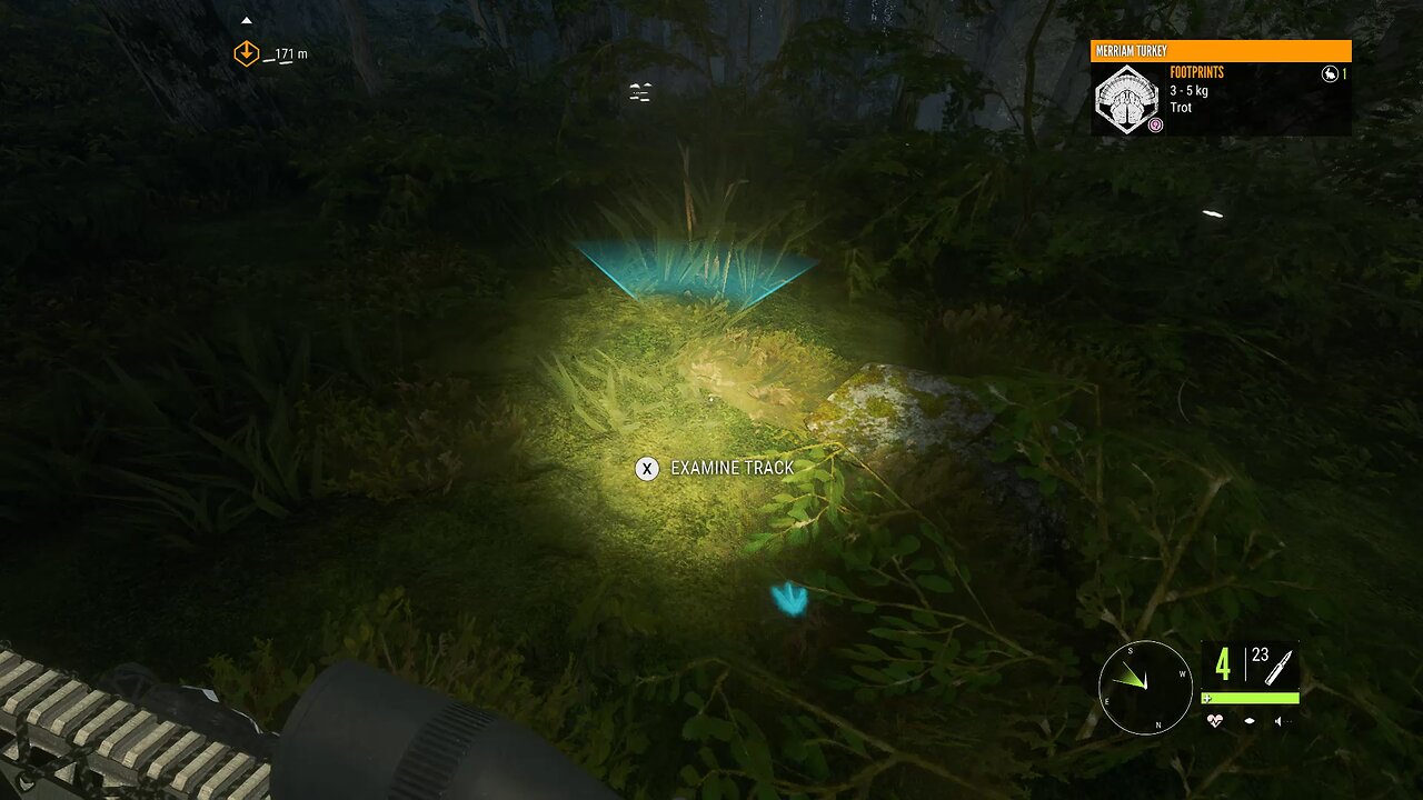 Call of the Wild! #cotw #callofthewild #thehunter #gameplay #hunting #tcmedia2 (1)