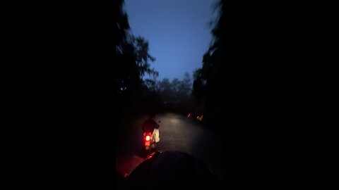 Jungle Ride