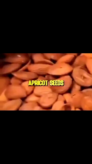 APRICOT SEEDS CURE CANCER - BECAUSE THEY KILL PARASITES 👊