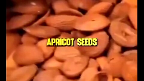 APRICOT SEEDS CURE CANCER - BECAUSE THEY KILL PARASITES 👊