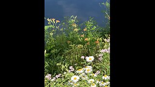 God is good all the time 1415: Engaging the World