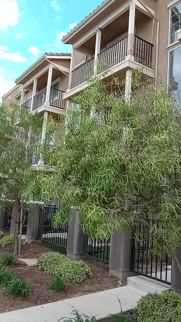 Endless free housing for illegals, while Americans sleep on the streets