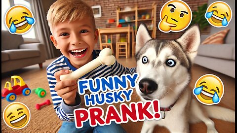 Funny Husky Prank - You Won’t Believe His Reaction!