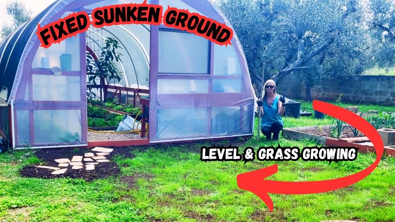 The Ground Sank After the Flood… Here's How We Fixed It for Good! 💪🌿