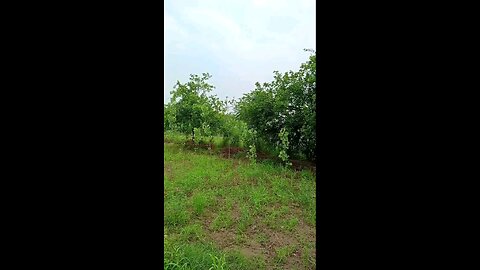 satisfying Video