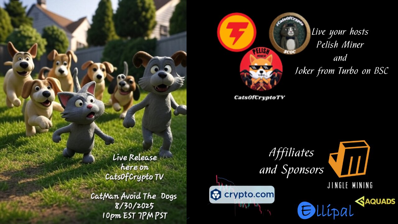 CatsOfCryptoTV Live release of CatMan- Avoid the Dogs sponsored by @JingleMining