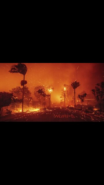 Mayor Karen Bass And LAFD Caught Red Handed In COVER UP Of Palisades Fire Response