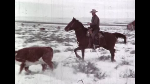 COWBOYS (PT1) ++++ VINTAGE COMMERCIALS