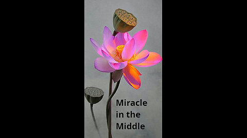 Sandra 💥 455 ~ Miracle in the Middle