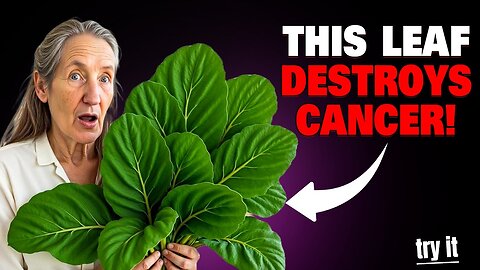 Barbara O’Neill | The Leaf That DESTROYS Cancer Cells—Why No One Is Talking About It