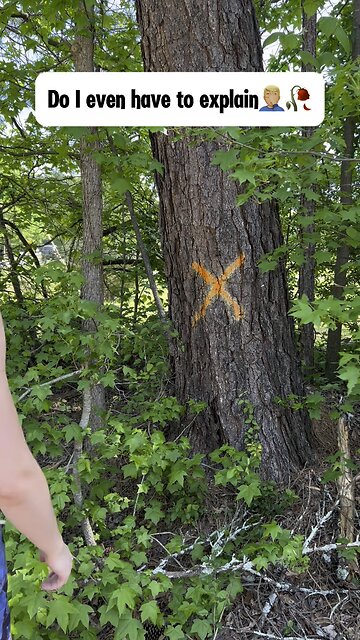 Do I even have to explain