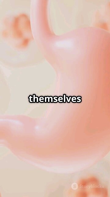 Your Stomach Rebuilds Itself Every Few Days! 🍽️