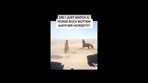 All about horses #1