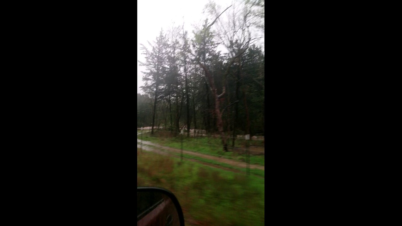 Flooding April 4 2025 (5)