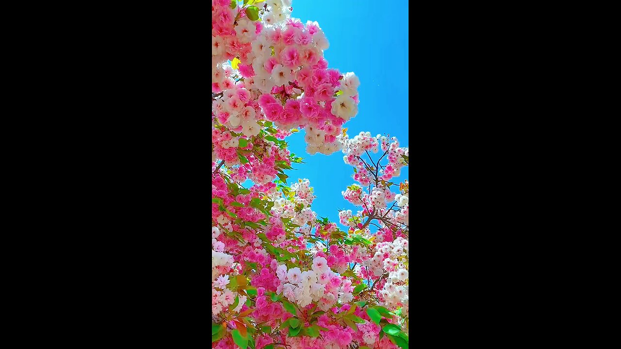natural sound