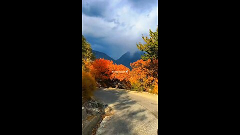 #foryoupage#viralvideo