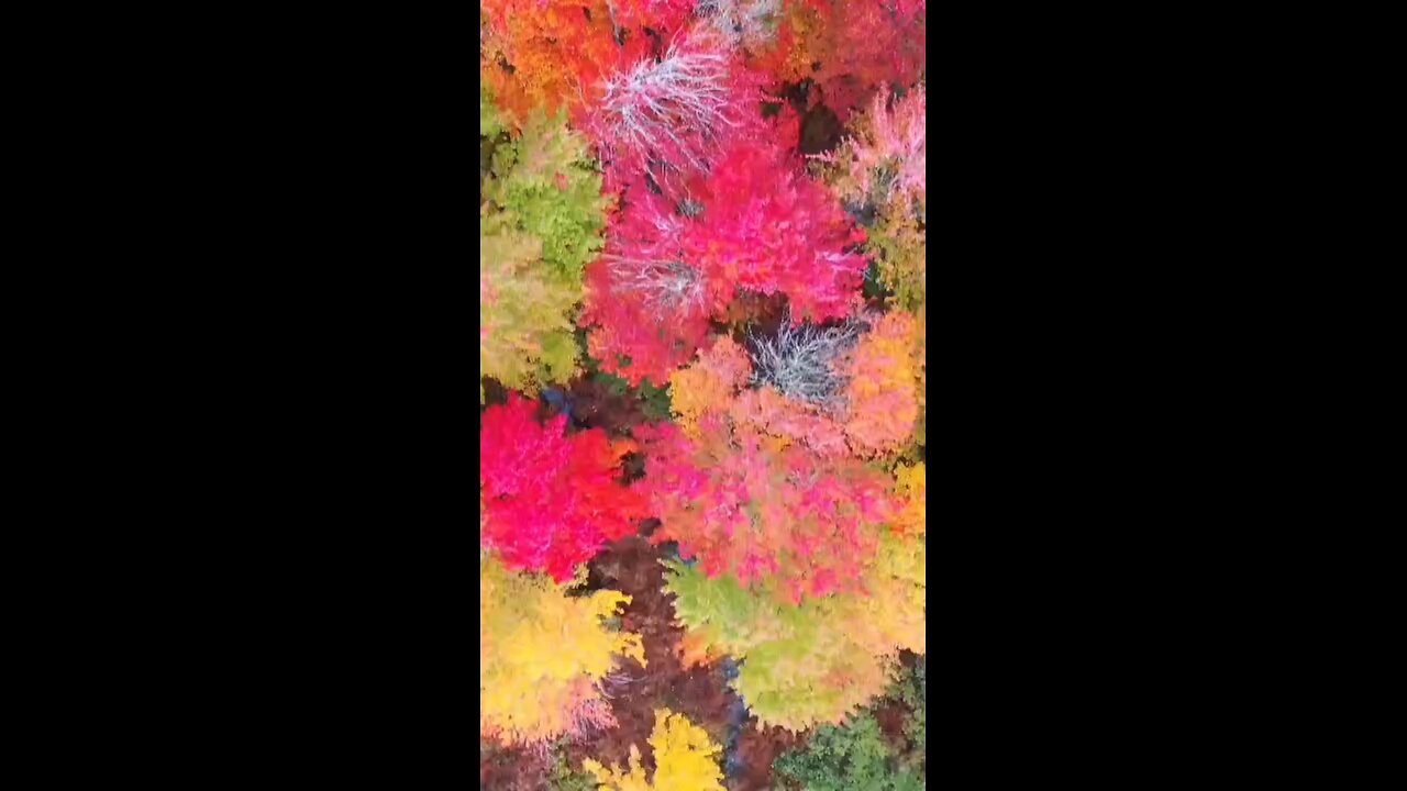 peaceful quran recitation