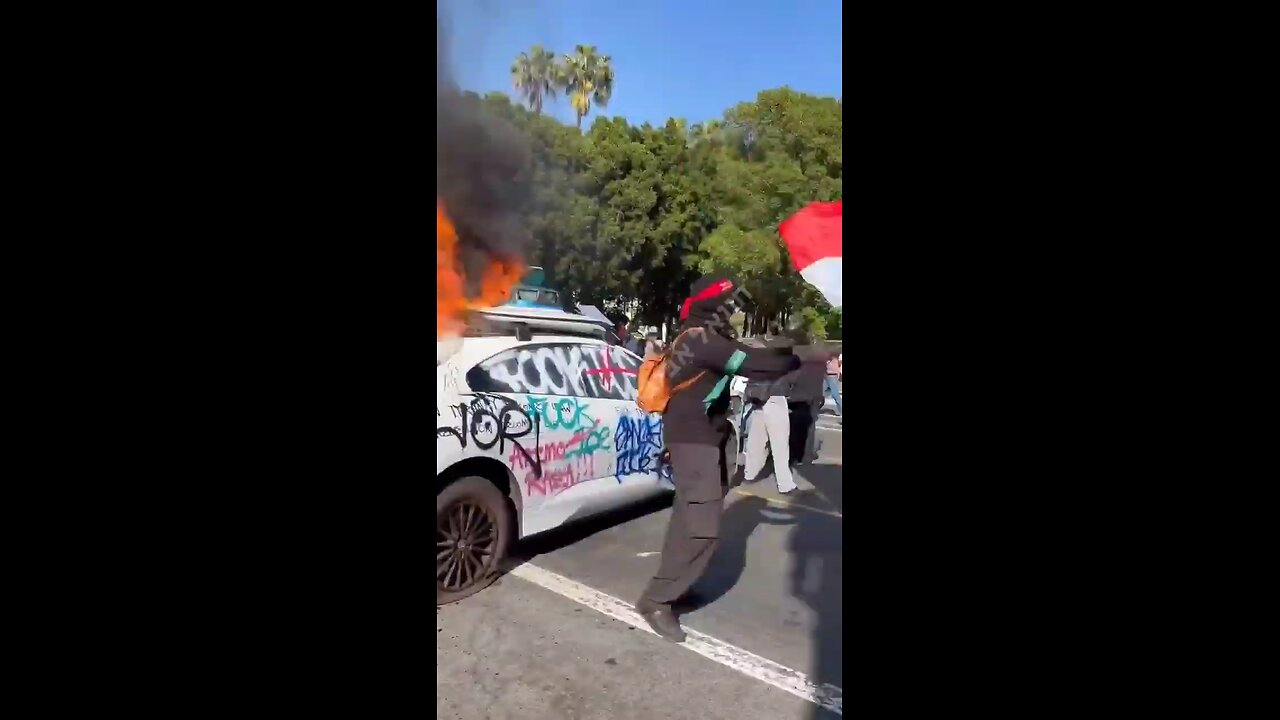 LA rioter - Hamas band on the arm and a Palestinian front terror band on the head.