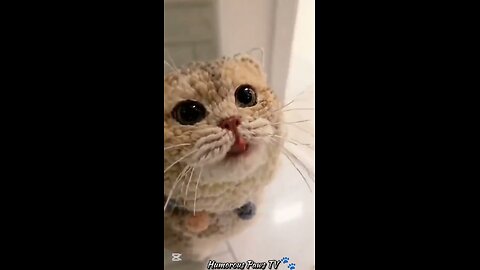 Pets Who Instantly Regretted Their Decisions!