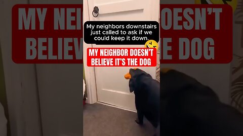 Why_My_Dog's_Behavior_is_Putting_Me_at_RISK_of_Being_EVICTED!