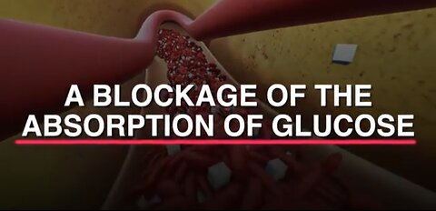 Dr Eric Berg Explains the function of Sugar