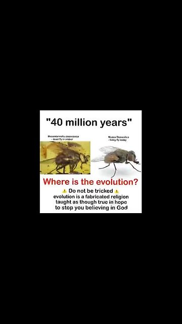 DO YOU STILL BELIEVE IN THE EVOLUTION LIE⁉️