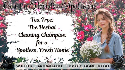 Tea Tree: The Herbal Cleaning Champion for a Spotless, Fresh Home