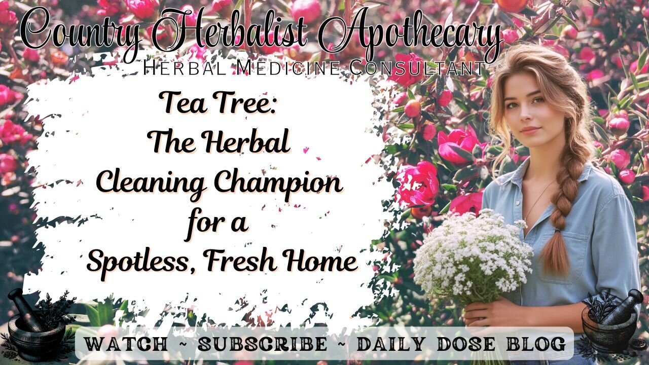 Tea Tree: The Herbal Cleaning Champion for a Spotless, Fresh Home