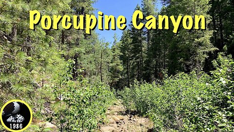 Hiking Porcupine Canyon, Mogollon Rim