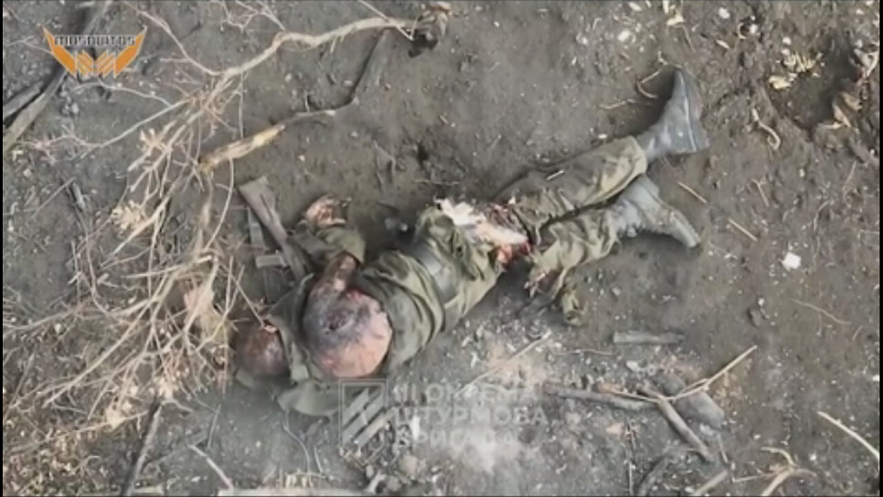 Война в Украине часть 382