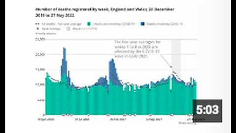 "Excess Deaths Increase 5 Months Post-Winter Booster Campaign, Reinforces COVID Vaccines Theory"