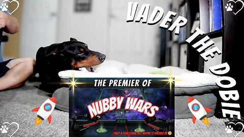 Nubby Wars: Dobie vs. Cat vs. The Legendary Chew Toy ⚔️🐾