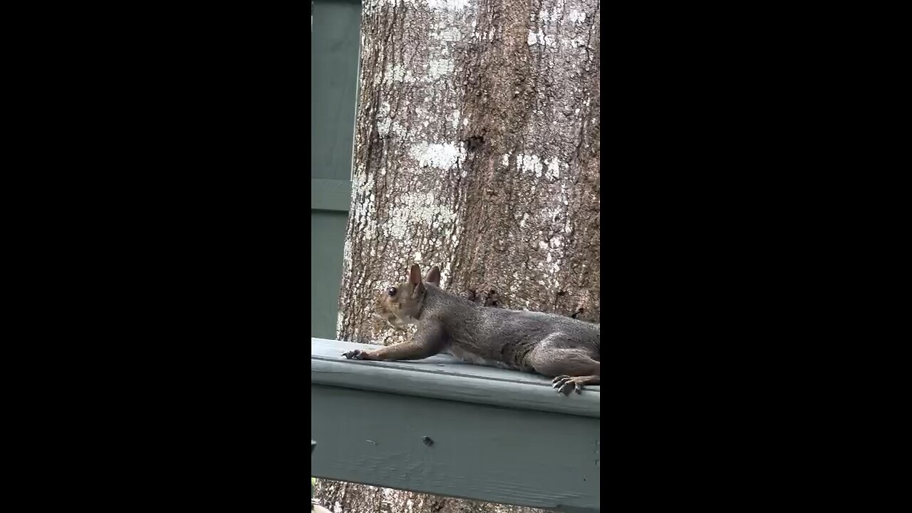Relaxing day