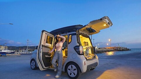 Enjoy a winter picnic with your dog in a small camper van by the sea. Enjoy Jejuberry