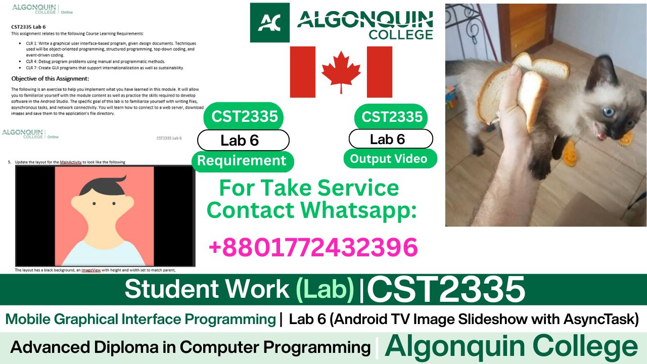 Student Work (𝐋𝐚𝐛 𝟔) | 𝐂𝐒𝐓𝟐𝟑𝟑𝟓 𝐋𝐚𝐛 𝟔 Android TV Image Slideshow | Algonquin College