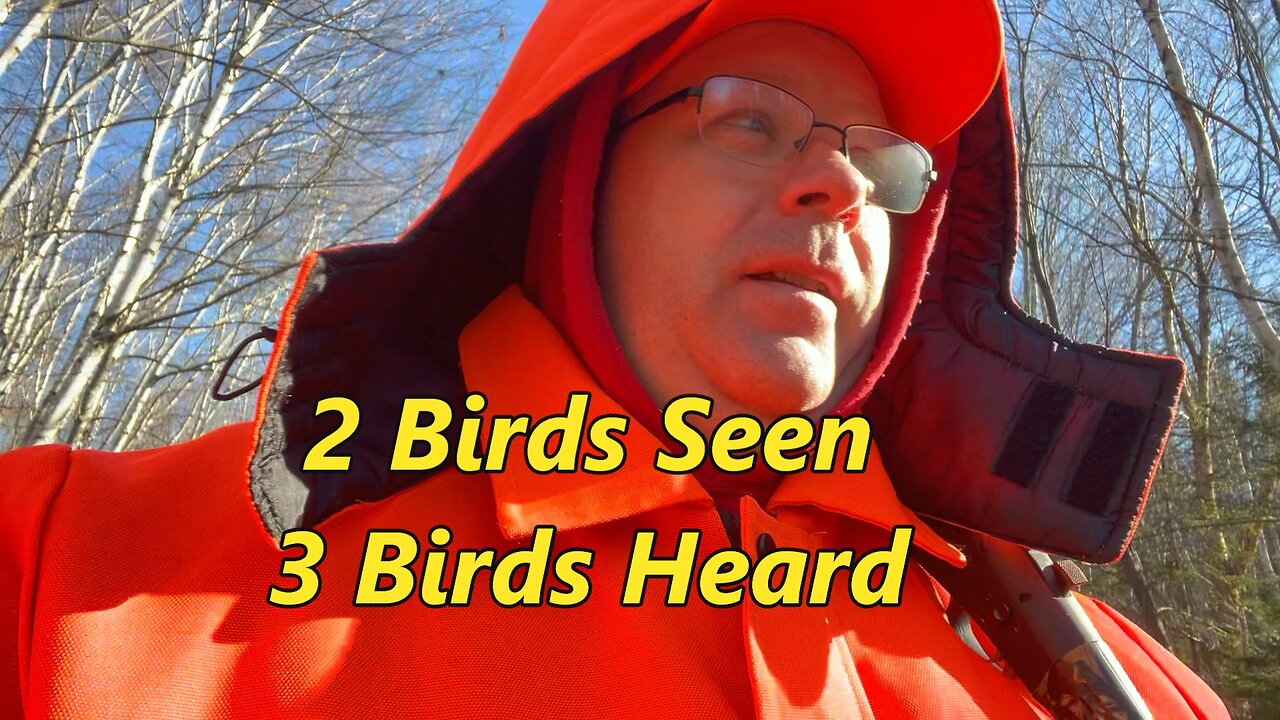 Birds Seen, Heard...and Deer Seen