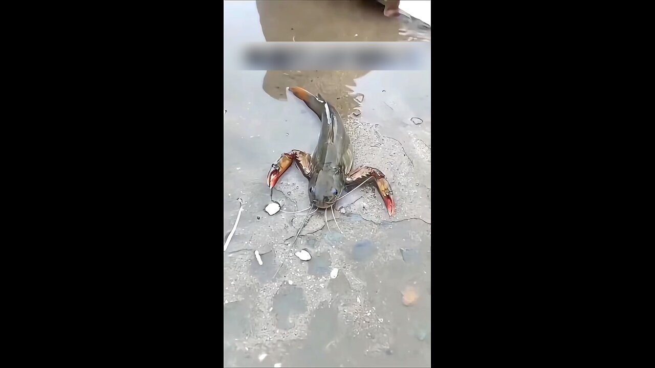 What kind of fish is this?😳😲